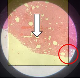 ...When reaching the end of relevant material, set your eyes on any object at the edge of the strip that you just scanned...