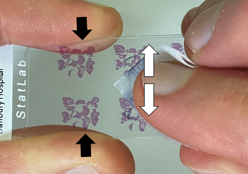 File:Wiping a slide.png