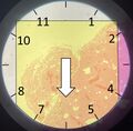Thumbnail for version as of 18:21, 22 September 2022