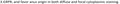 Thumbnail for version as of 16:24, 18 December 2021