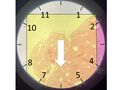 Thumbnail for version as of 17:53, 22 September 2022