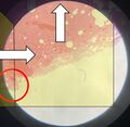 Thumbnail for version as of 18:22, 22 September 2022