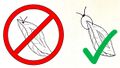 Thumbnail for version as of 17:14, 10 September 2021