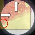Thumbnail for version as of 18:49, 22 September 2022
