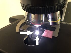 Example starting position of objective.